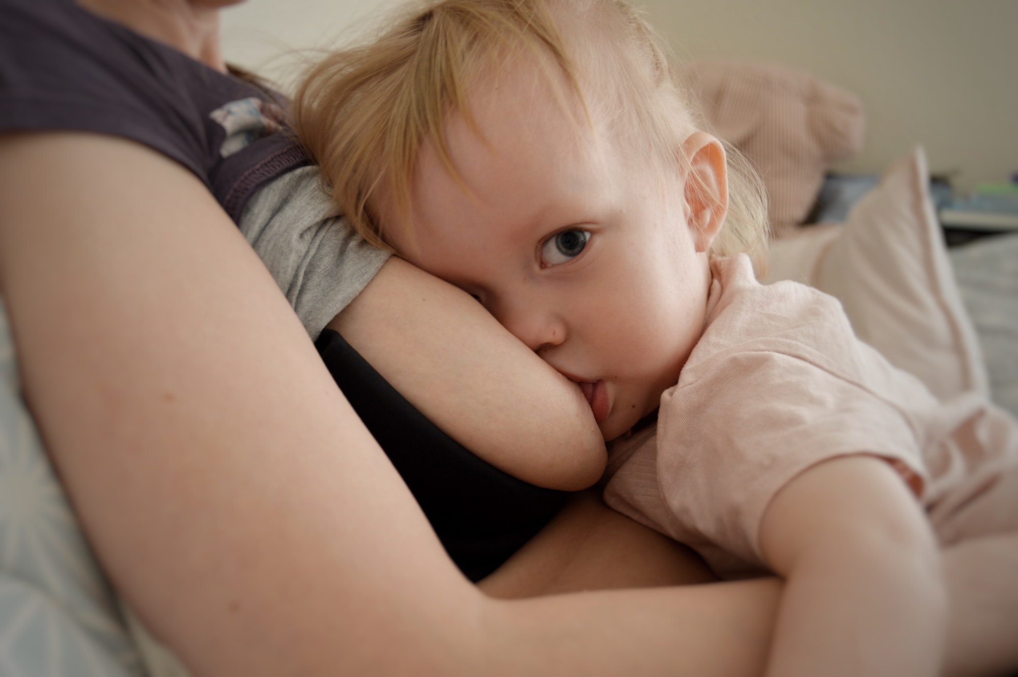 American Academy of Pediatrics breastfeeding