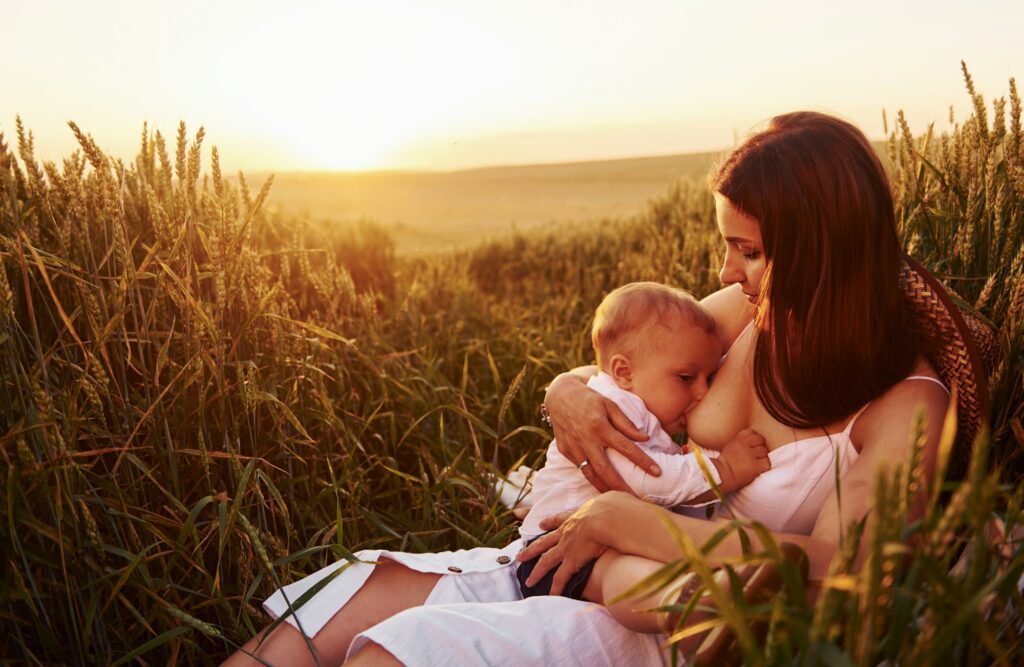 Happy mother breastfeeding her son on the field at sunny day time of summer