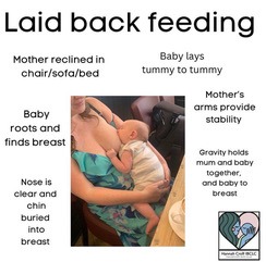 an explanation and example of laid back breastfeeding